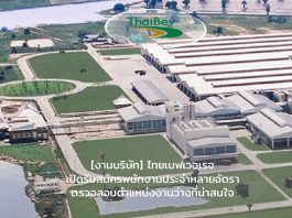 แชร์เลย!!! สมัครงาน บริษัท ไทยเบฟเวอเรจ จำกัด อัพเดท ตรวจสอบตำแหน่งงานว่างน่าสนใจ